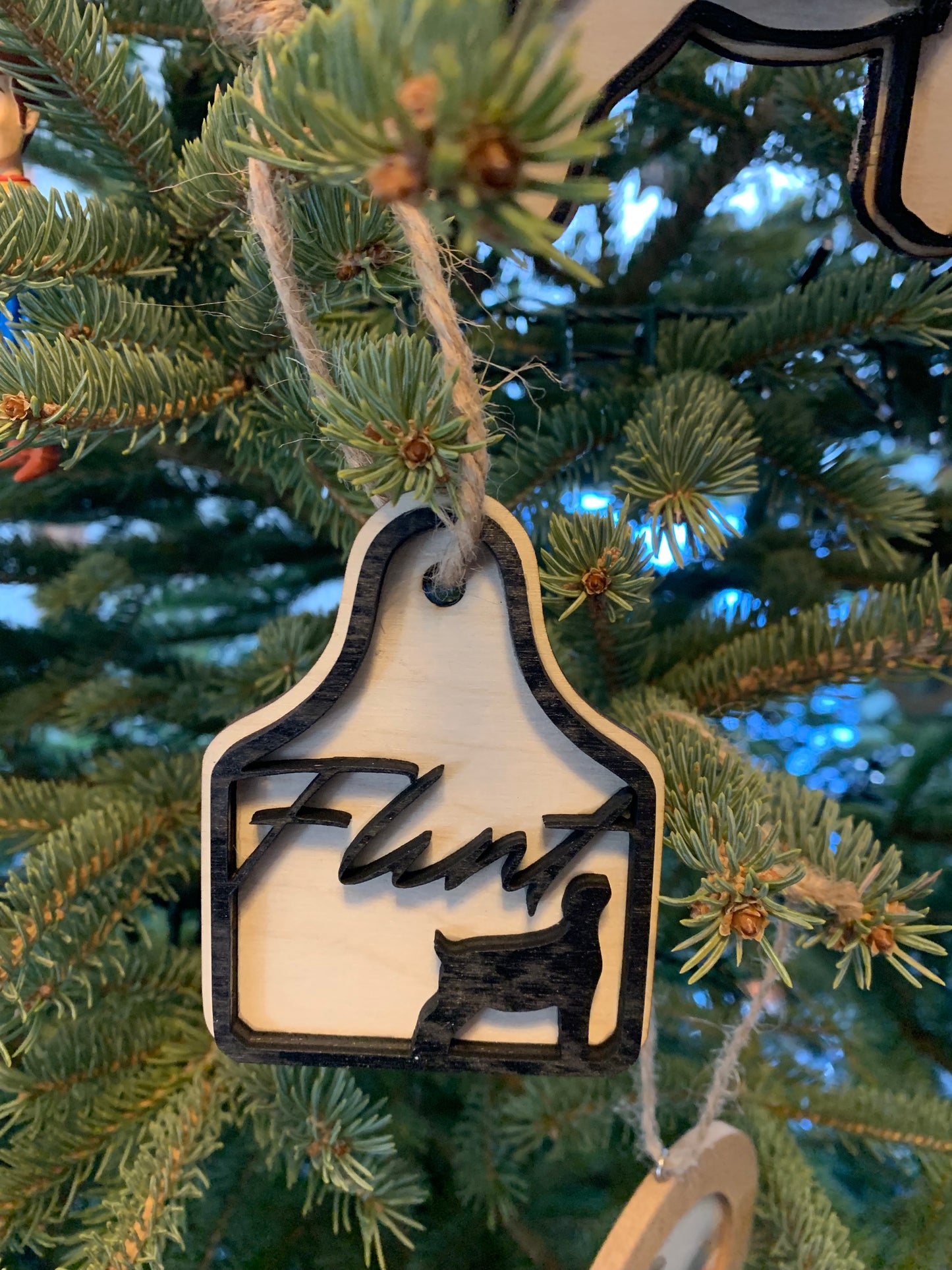 Ear tag Ornaments