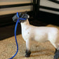 Livestock Halters