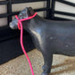 Livestock Halters
